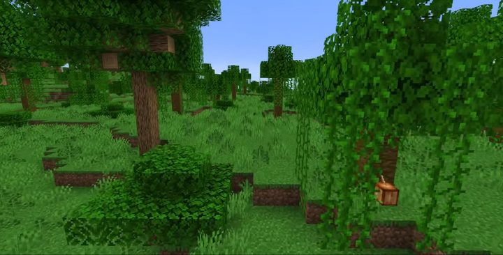 A Minecraft jungle.