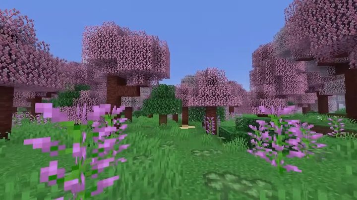 A cherry grove in Minecraft.