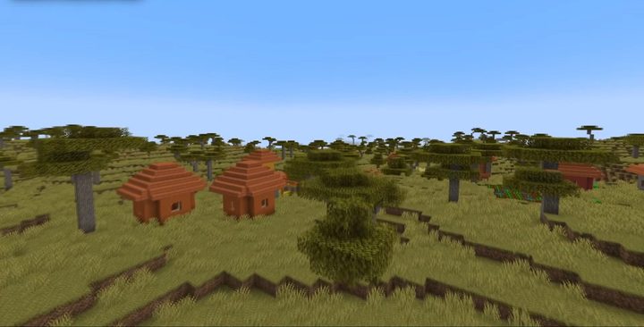 A svanna in Minecraft.