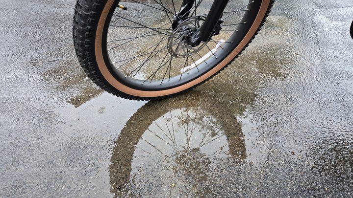 Rain