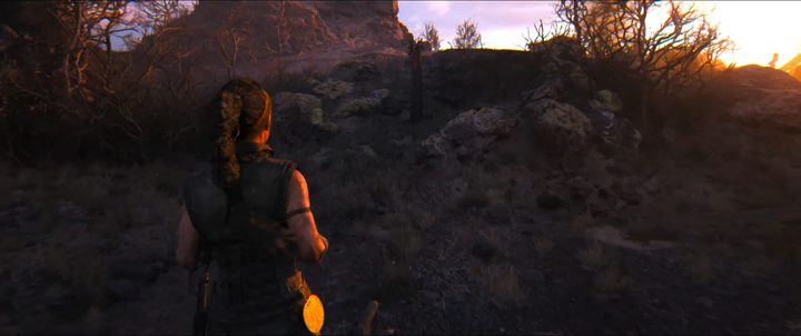 Senua approaching a lore totem in Hellblade 2.