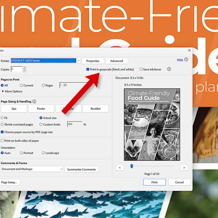 Adobe Acrobat's print settings includes a grayscale option.