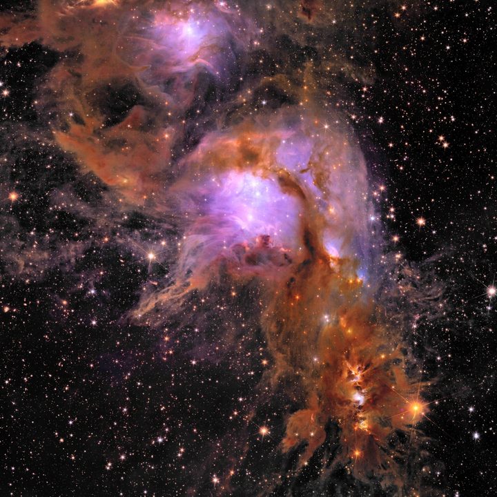 This image is released as part of the Early Release Observations from ESA&rsquo;s Euclid space mission. All data from these initial observations are made public on 23 May 2024 &ndash; including a handful of unprecedented new views of the nearby Universe, this being one. This breathtaking image features Messier 78 (the central and brightest region), a vibrant nursery of star formation enveloped in a shroud of interstellar dust. This image is unprecedented &ndash; it is the first shot of this young star-forming region at this width and depth.
