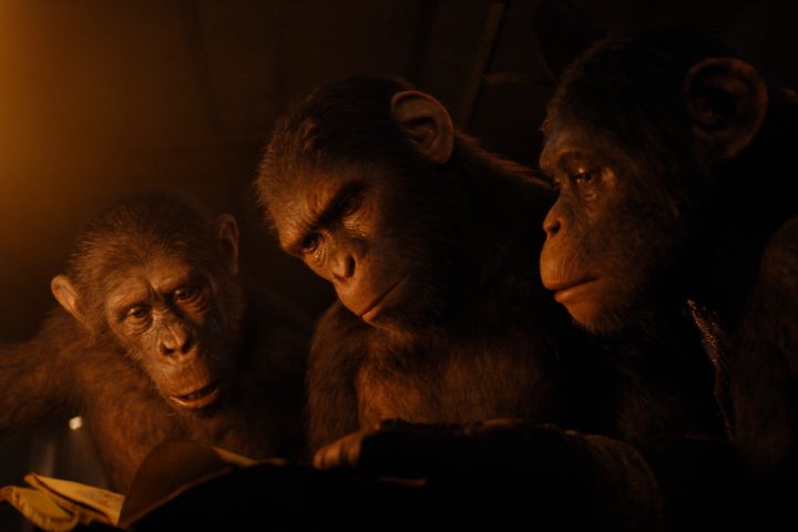 Noa reads a book in Kingdom of the Planet of the Apes.