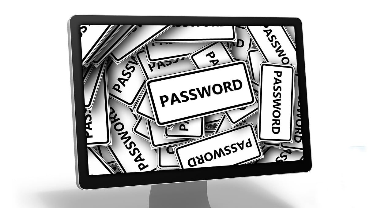 Passwords in boxes on a computer monitor.