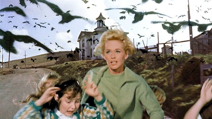 Tippi Hedren as Melanie with a child running away from a group of birds in "The Birds."