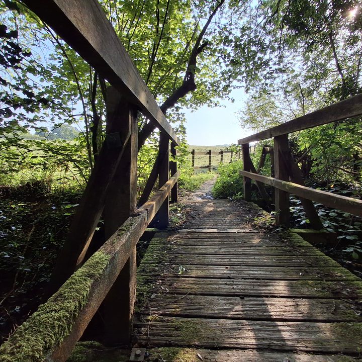 A photo taken with the Samsung Galaxy A35's wide-angle camera.