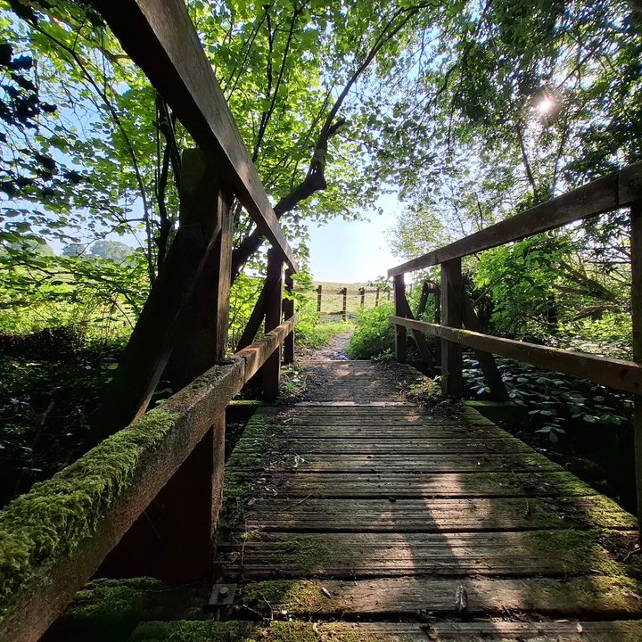 A photo taken with the Samsung Galaxy A55's wide-angle camera.