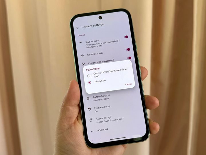Google Pixel 8a camera settings palm timer.