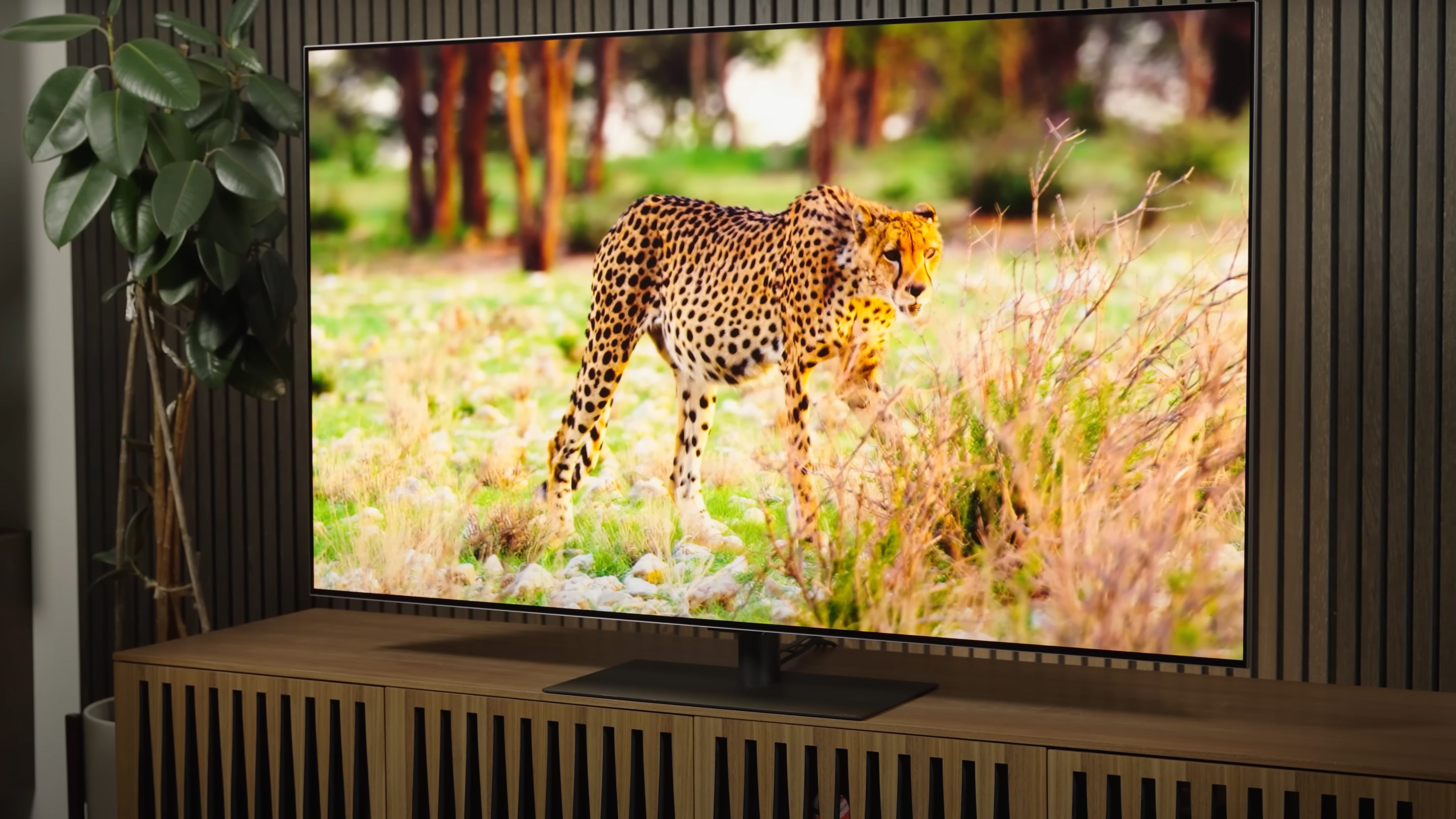 LG OLED Evo G4