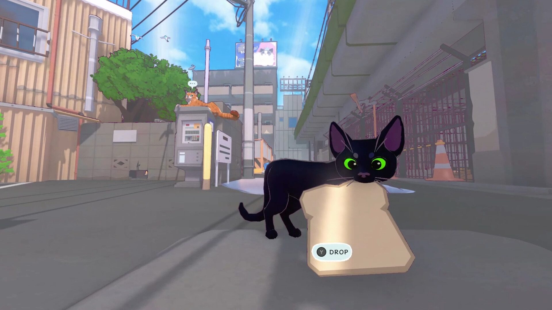 little-kitty-big-city-cat-