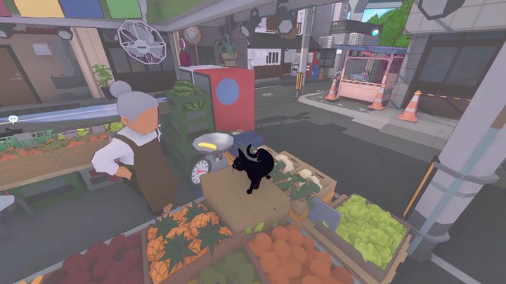 A cat stands in a grocery store in Little Kitty, Big City.