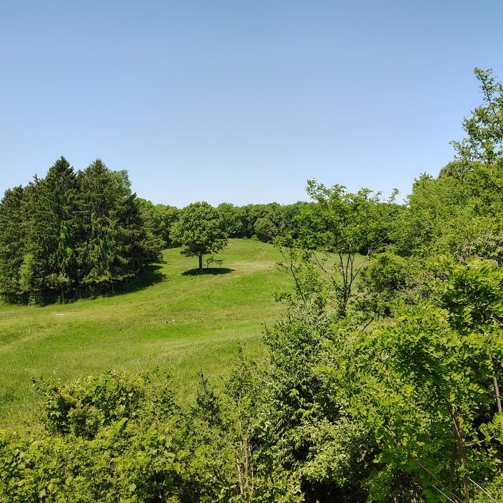 A photo of an outdoor area at a zoo, taken with the Moto G Stylus 5G (2024).
