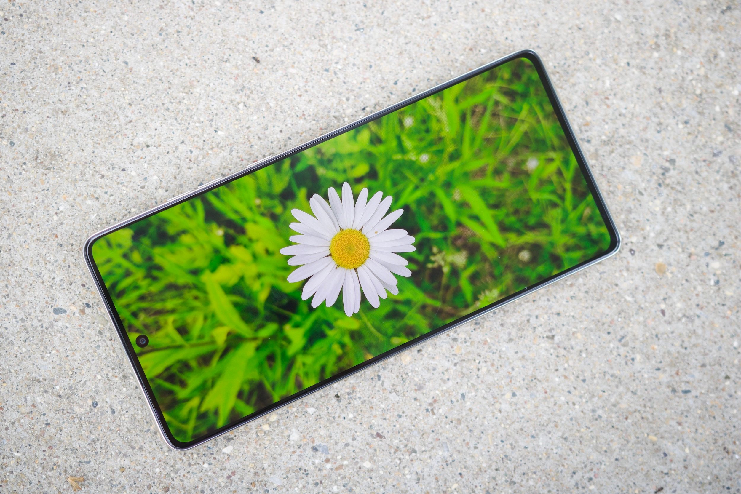 The Moto G Stylus 5G (2024) with its display turned on, showing a photo of a flower.