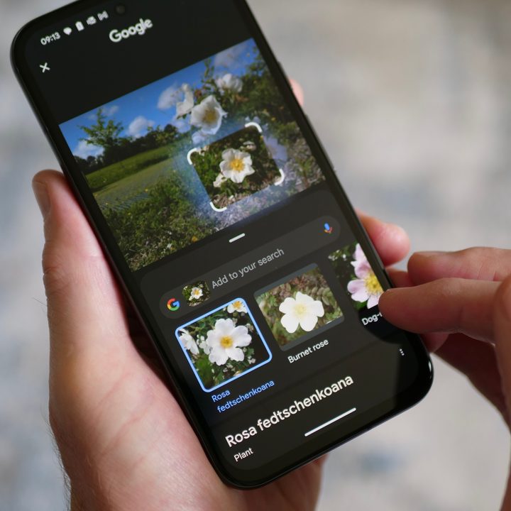 Using Circle to Search on the Google Pixel 8a.