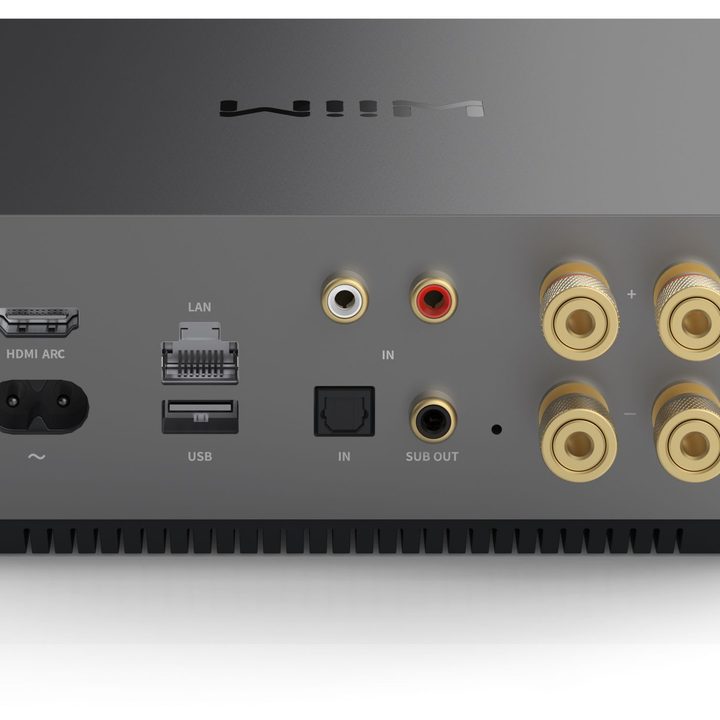 Wiim Amp Pro back view.