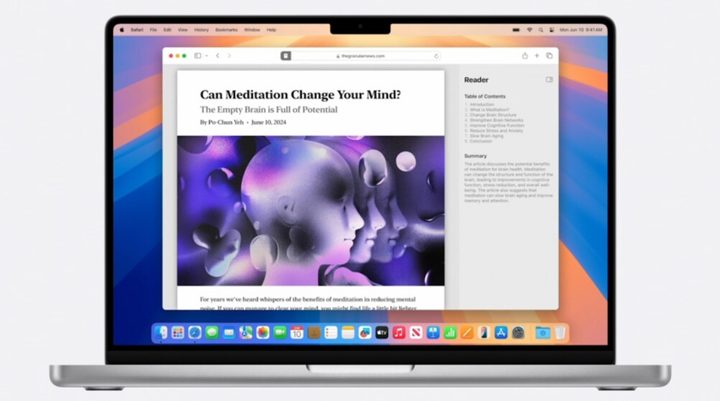 Reader feature on Safari with generated summary.