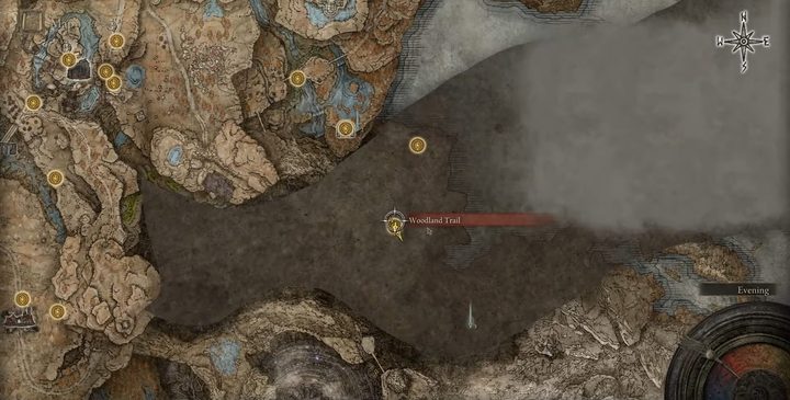 A map in Shadow of the Erdtree.