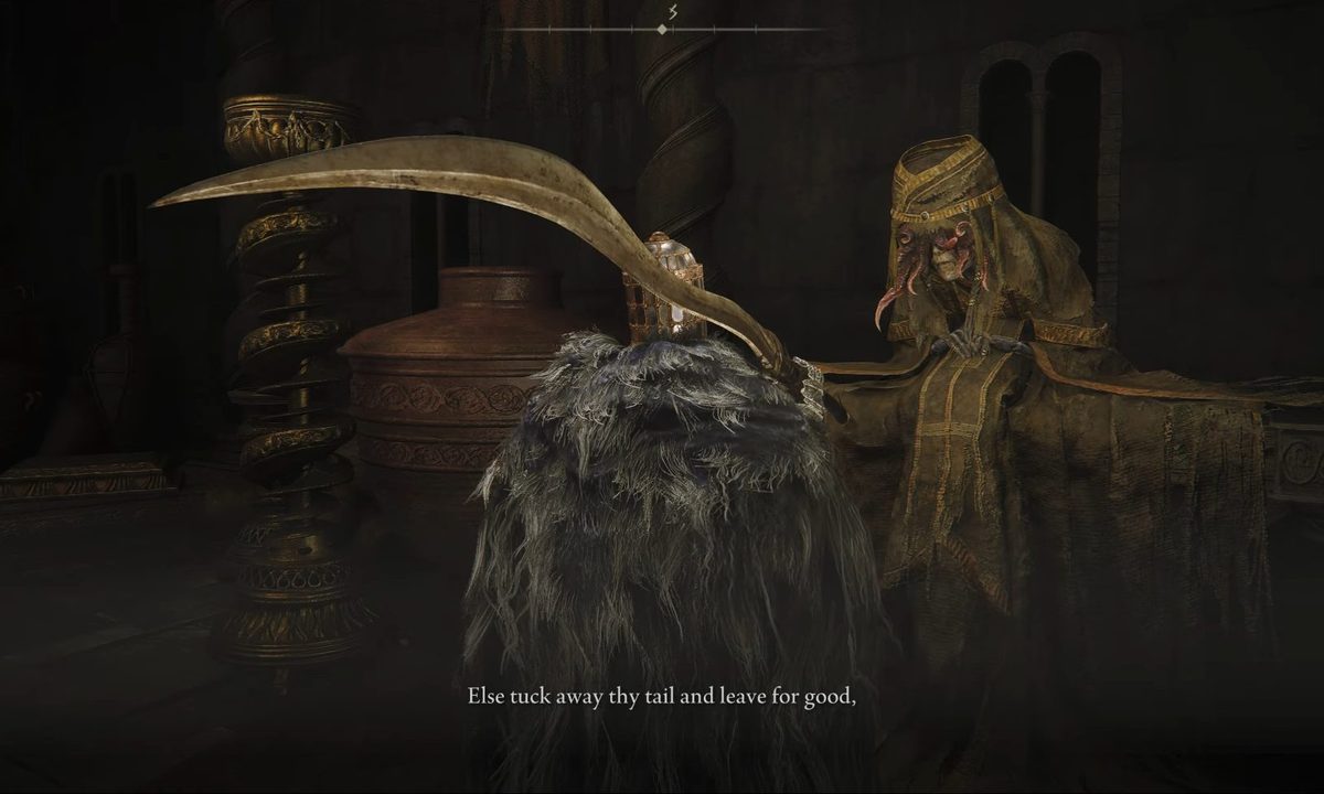 A player talking to hornsent in Shadow of the Erdtree.