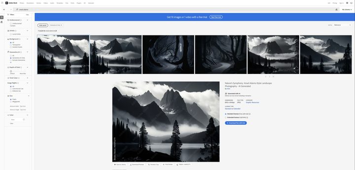 A screenshot of Ansel Adams images put in Adobe Stock.