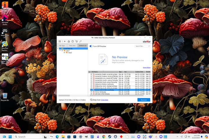 After a quick scan is complete, Stellar Data Recovery Premium shows a file list with previews.