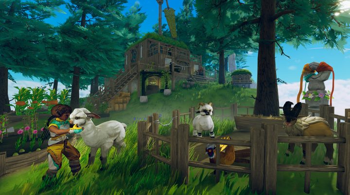 Person petting sheep and lambs kneeling in grass on island with wooden house in the background