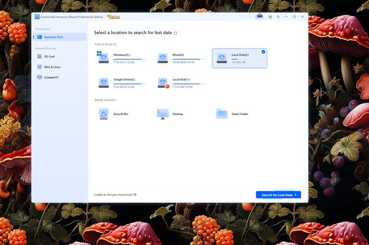 Controls are well-placed and make sense in the EaseUS Data Recovery Wizard Pro app.