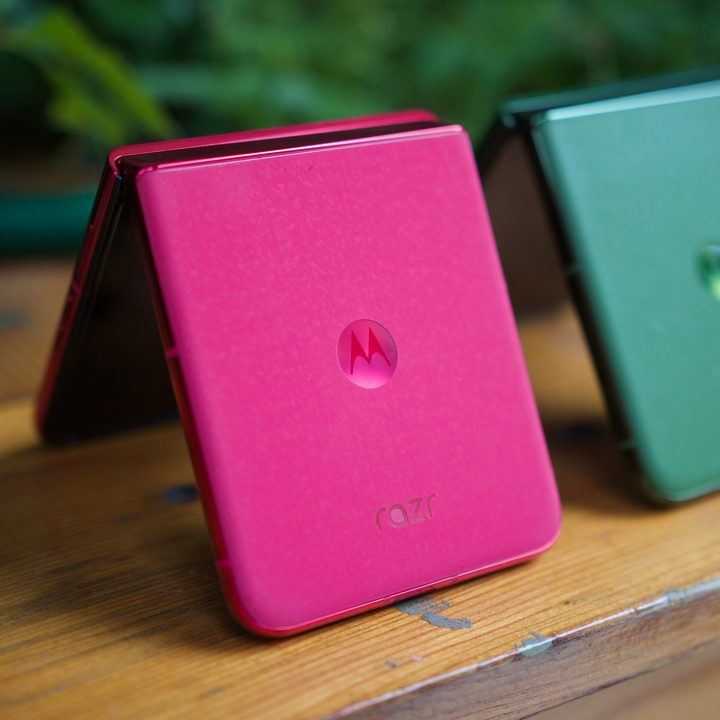The backs of the Motorola Razr Plus 2024 in pink and green colors.
