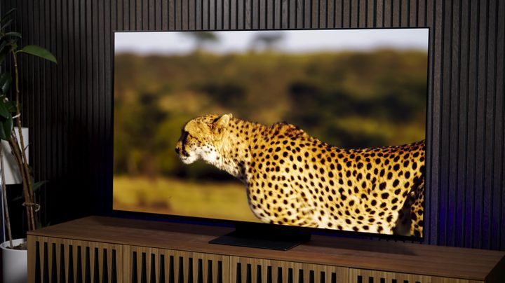 Samsung S95D OLED review
