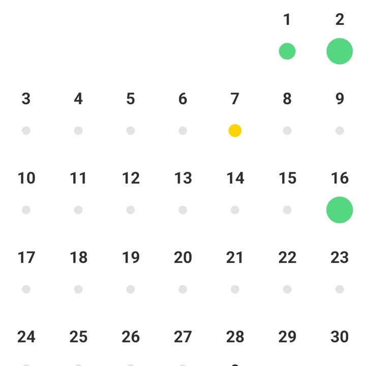 Calendar view in the Suunto app.