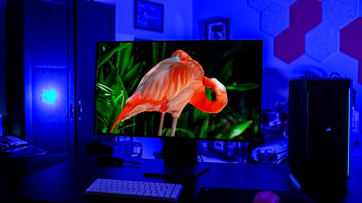 A flamingo on the LG UltraGear Dual Mode OLED monitor.