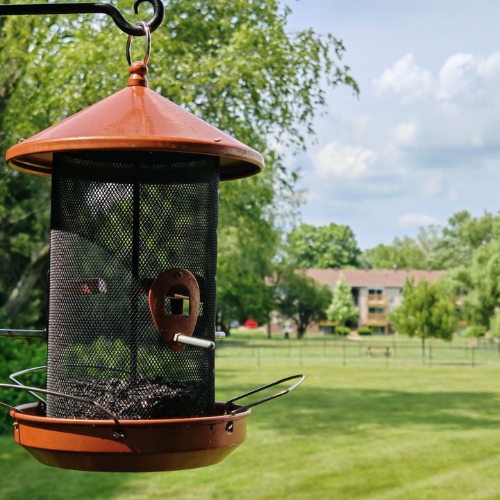 A photo of a bird feeder outside on a patio, taken with the Honor 200 Pro.