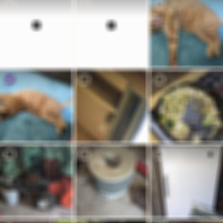 My camera roll, blurred for your protection