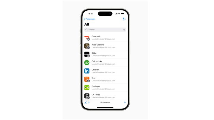 iOS 18 passwords