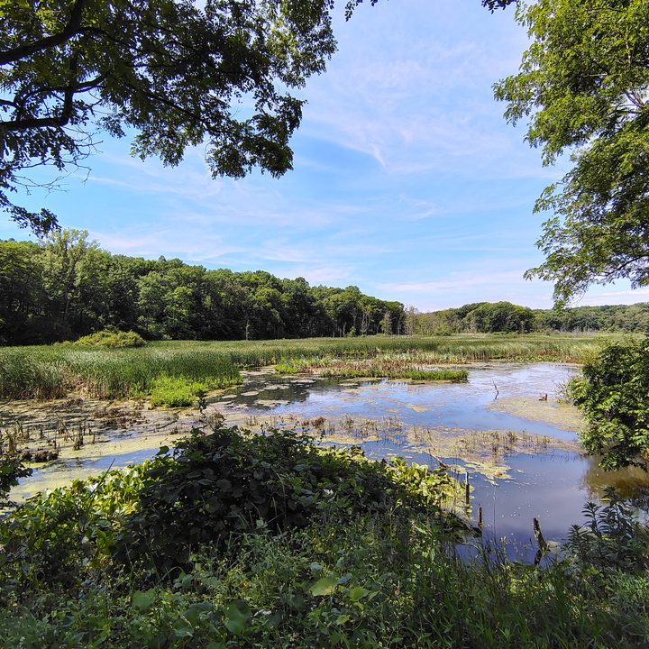 Photo of a lake near a nature trail, taken with the Motorola