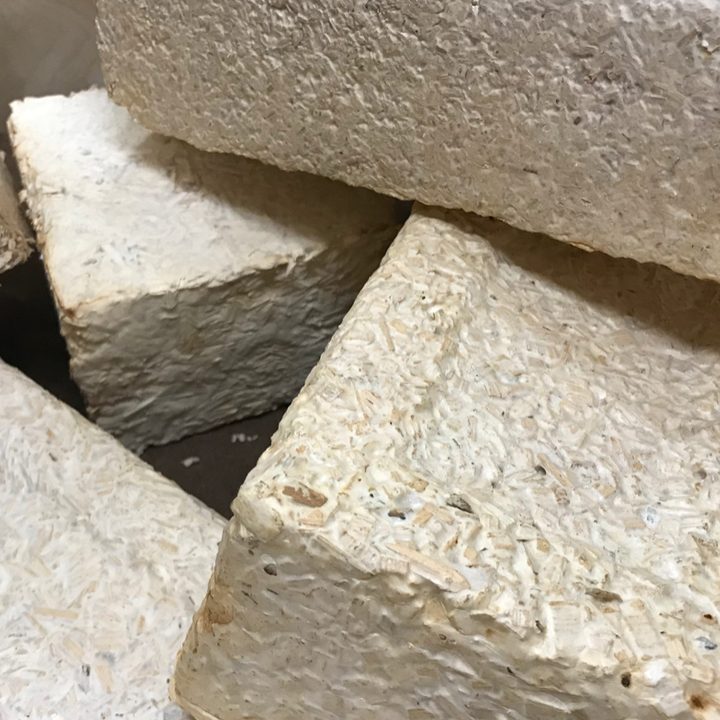 Bricks produced using mycelium, yard waste and wood chips as a part of the myco-architecture project. Similar materials could be used to build habitats on the Moon or Mars.