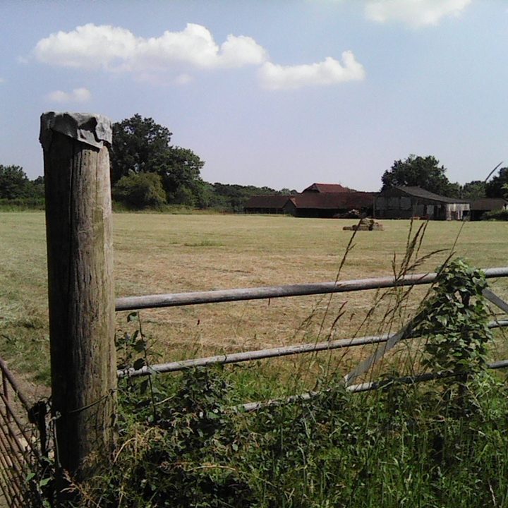 A photo taken with the Nokia 3210.