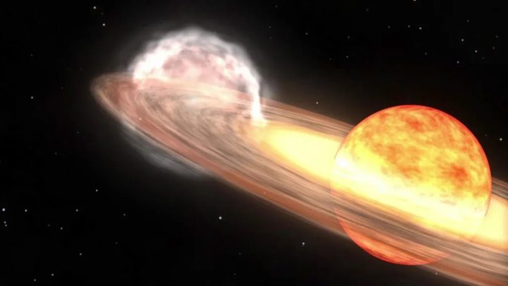 A red giant star and white dwarf orbit each other in this animation of a nova similar to T Coronae Borealis. The red giant is a large sphere in shades of red, orange, and white, with the side facing the white dwarf the lightest shades. The white dwarf is hidden in a bright glow of white and yellows, which represent an accretion disk around the star. A stream of material, shown as a diffuse cloud of red, flows from the red giant to the white dwarf. When the red giant moves behind the white dwarf, a nova explosion on the white dwarf ignites, creating a ball of ejected nova material shown in pale orange. After the fog of material clears, a small white spot remains, indicating that the white dwarf has survived the explosion.