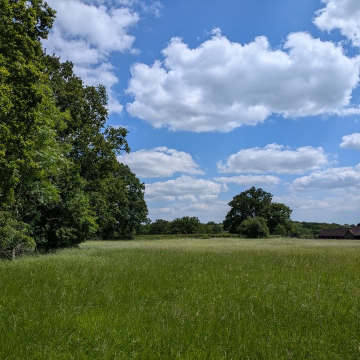 A photo taken with the Google Pixel 8a.