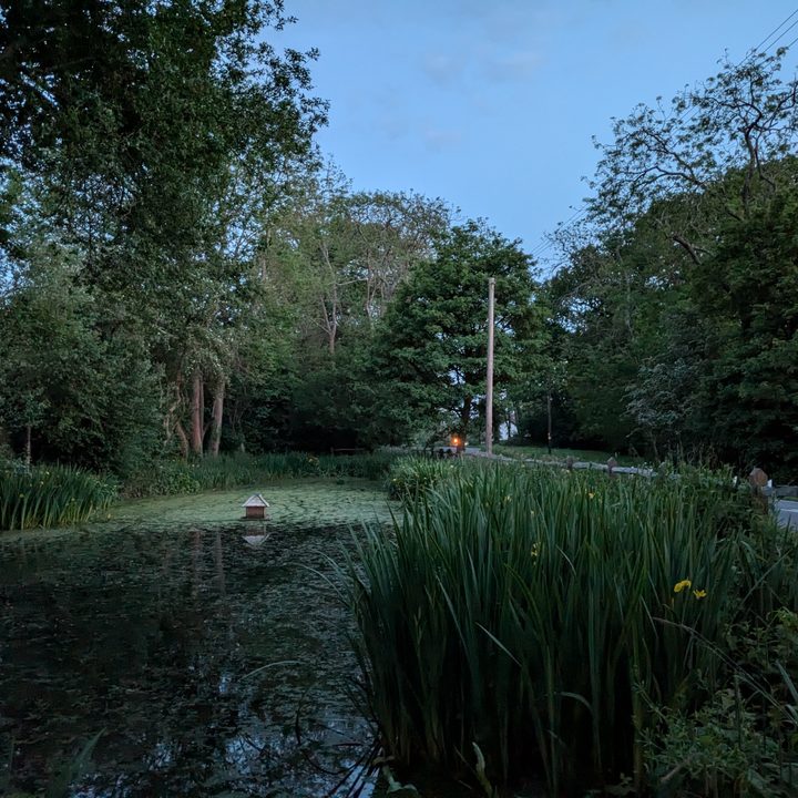 A photo taken with the Google Pixel 8a.