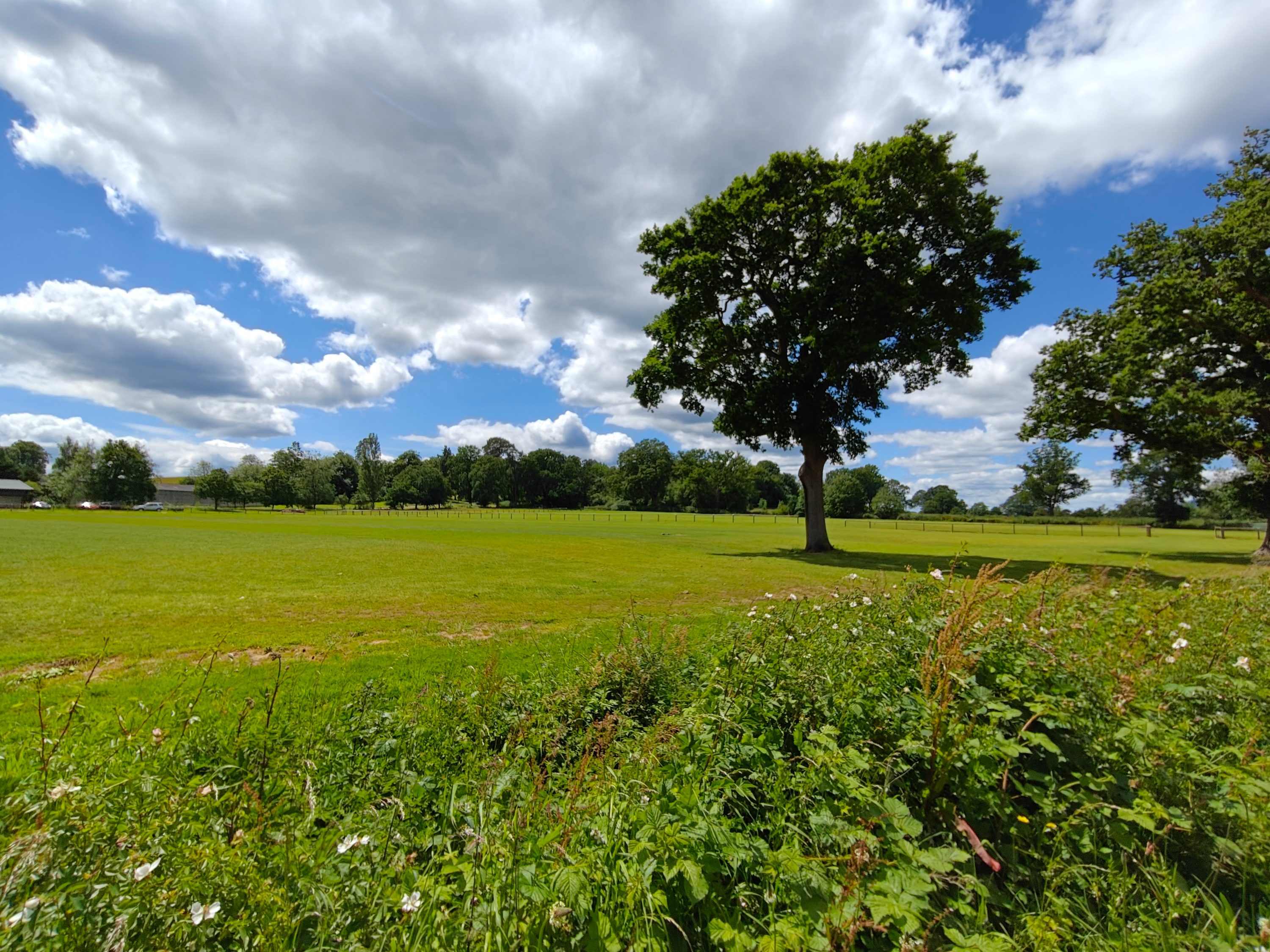 A photo taken with the Realme GT 6's wide-angle camera.