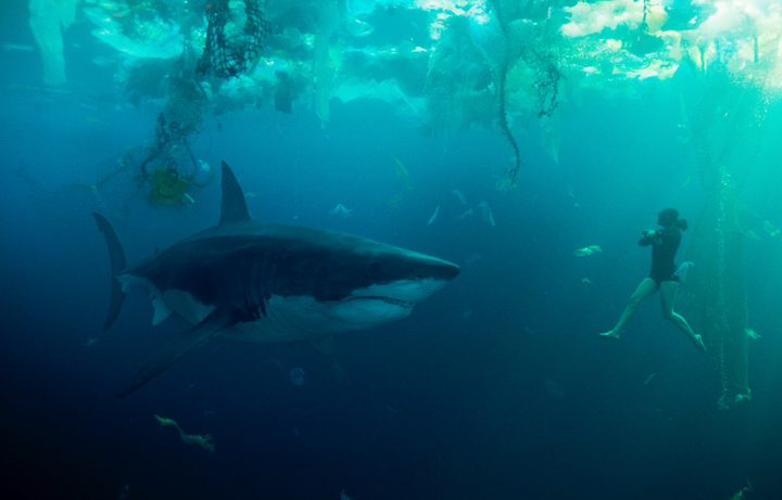 A diver is cornered by a giant shark in Under Paris.