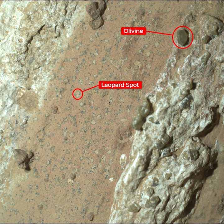 NASA’s Perseverance rover discovered “leopard spots” on a reddish rock nicknamed “Cheyava Falls” in Mars’ Jezero Crater in July 2024. Scientists think the spots may indicate that, billions of years ago, the chemical reactions in this rock could have supported microbial life; other explanations are being considered.