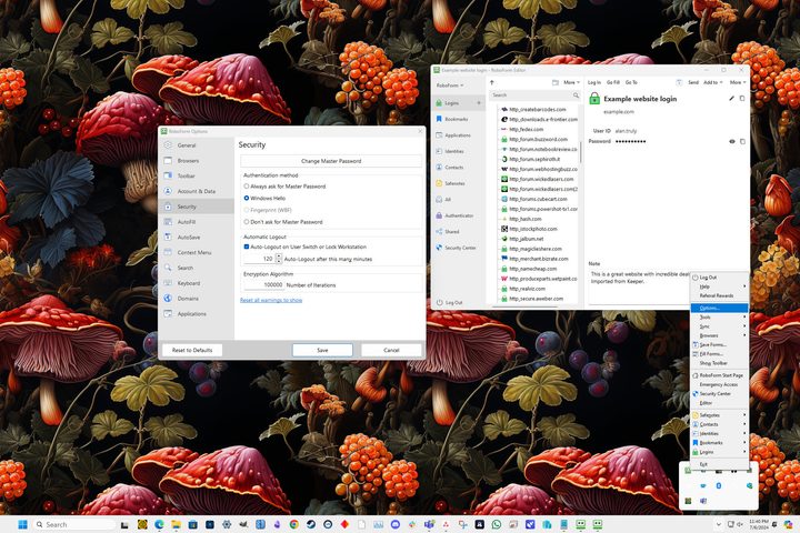 After installation, use RoboForm's browser extension and start page instead of the outdated Windows app.