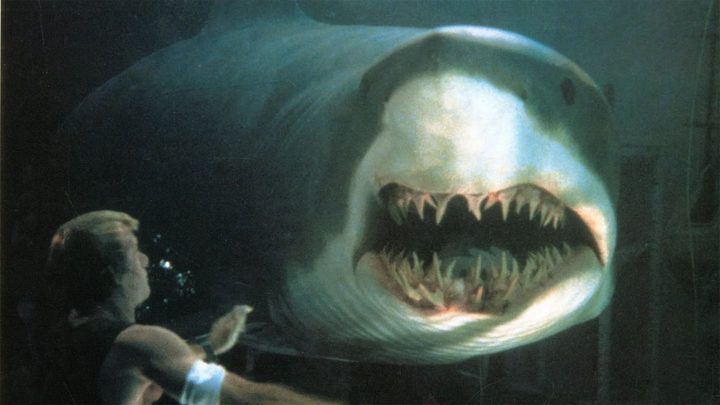 Thomas Jane and a computer generated friend in Deep Blue Sea.