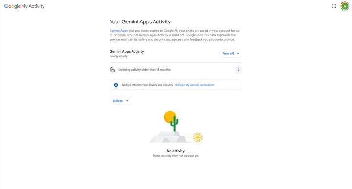 The Gemini Advanced Activity screen you're looking for