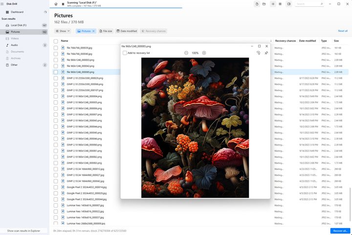 I opened a large preview window to check files during Disk Drill Pro's HDD scan.