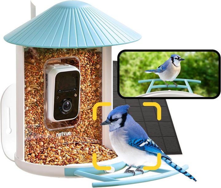 The Netvue Birdfy Feeder on a white background.