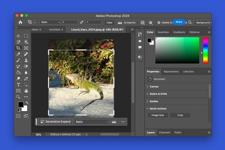 Photoshop Crop tool.