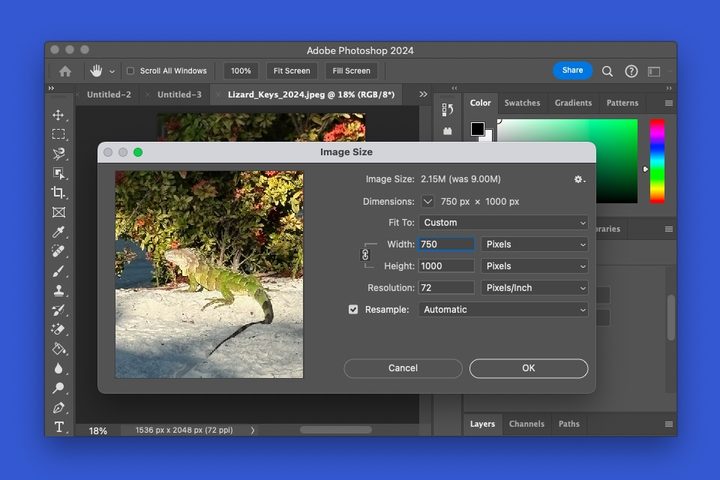 Photoshop Image Size window.